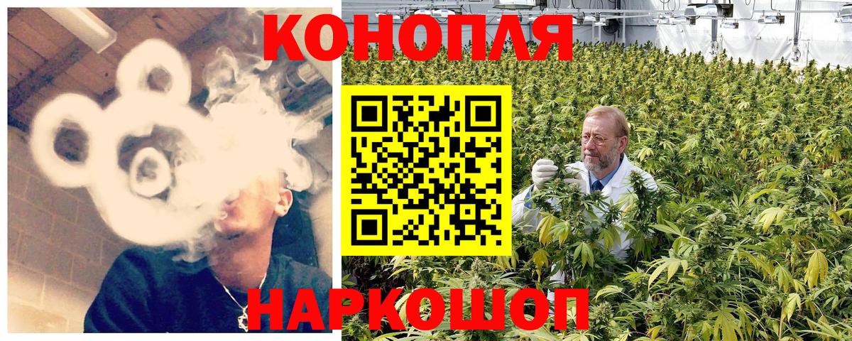 Канабис сатива Приморско-Ахтарск